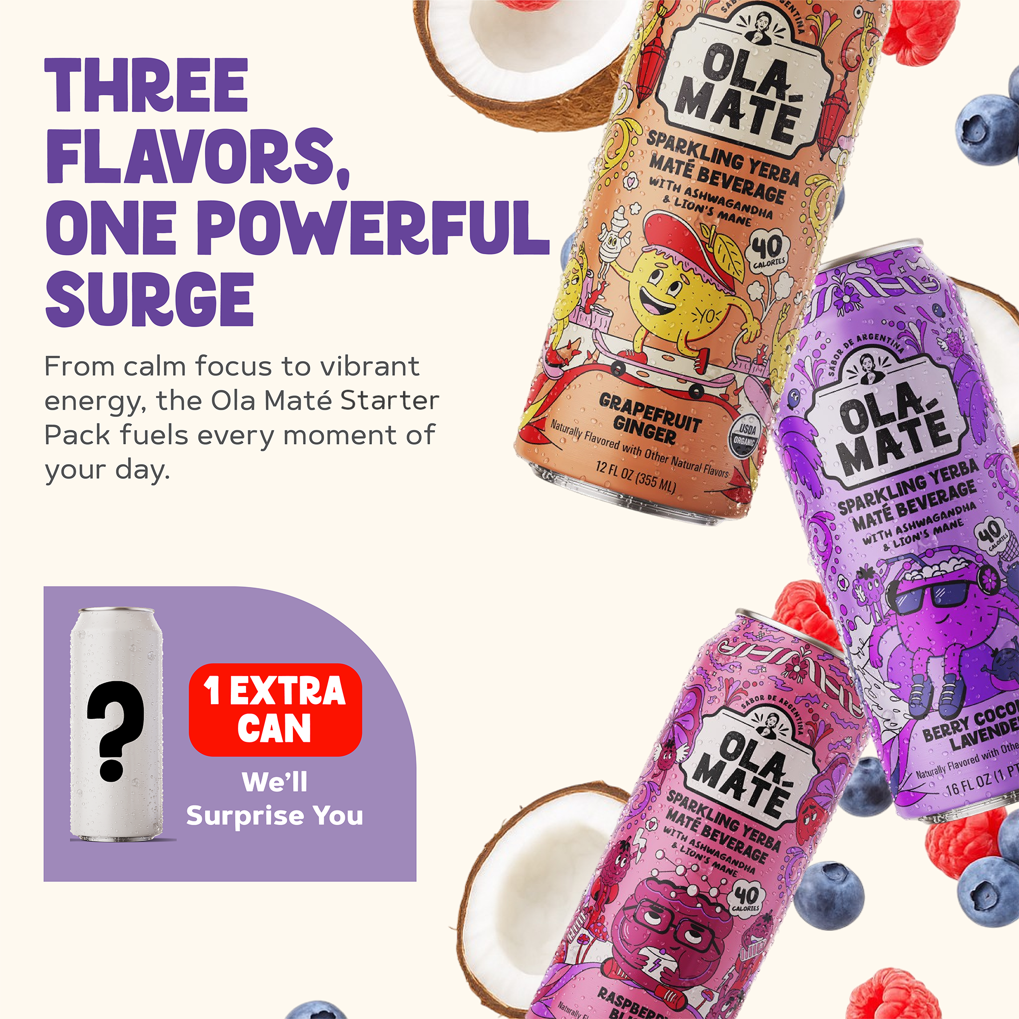 Starter 4-Pack - Sparkling Maté
