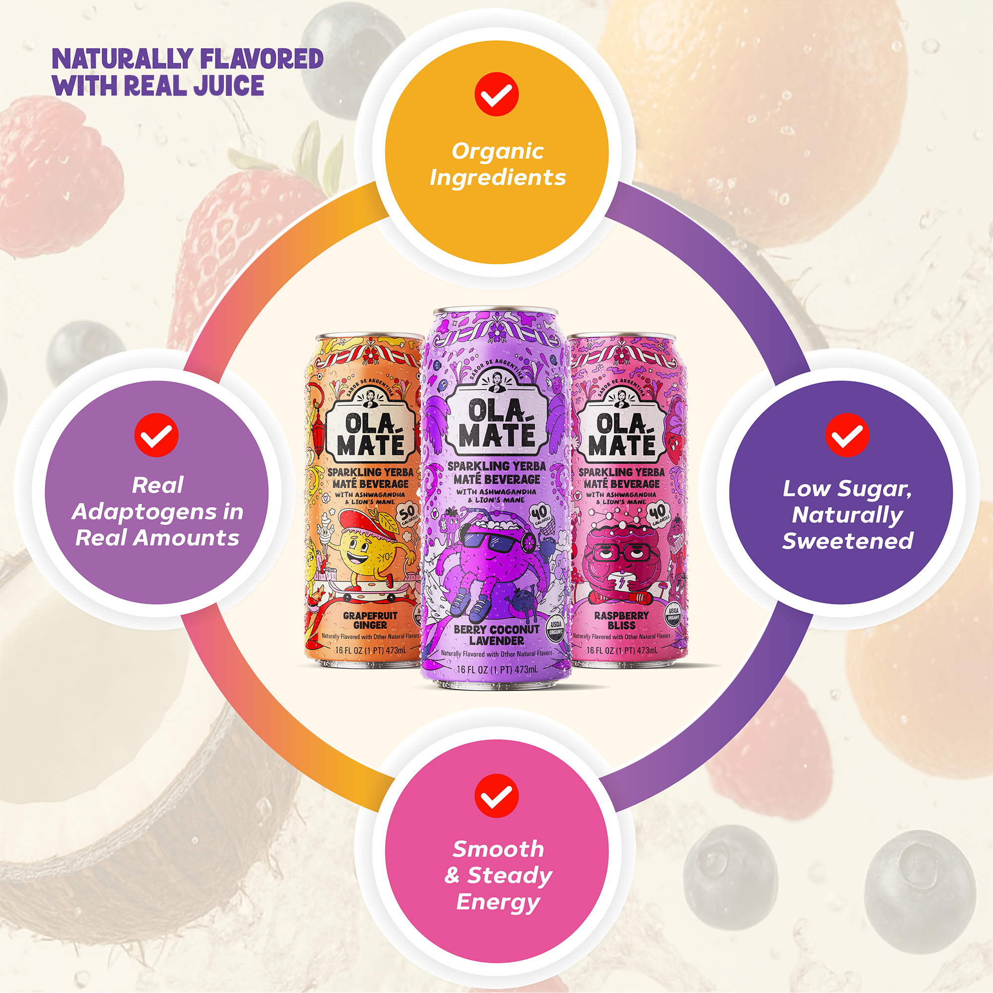 Starter 4-Pack - Sparkling Maté