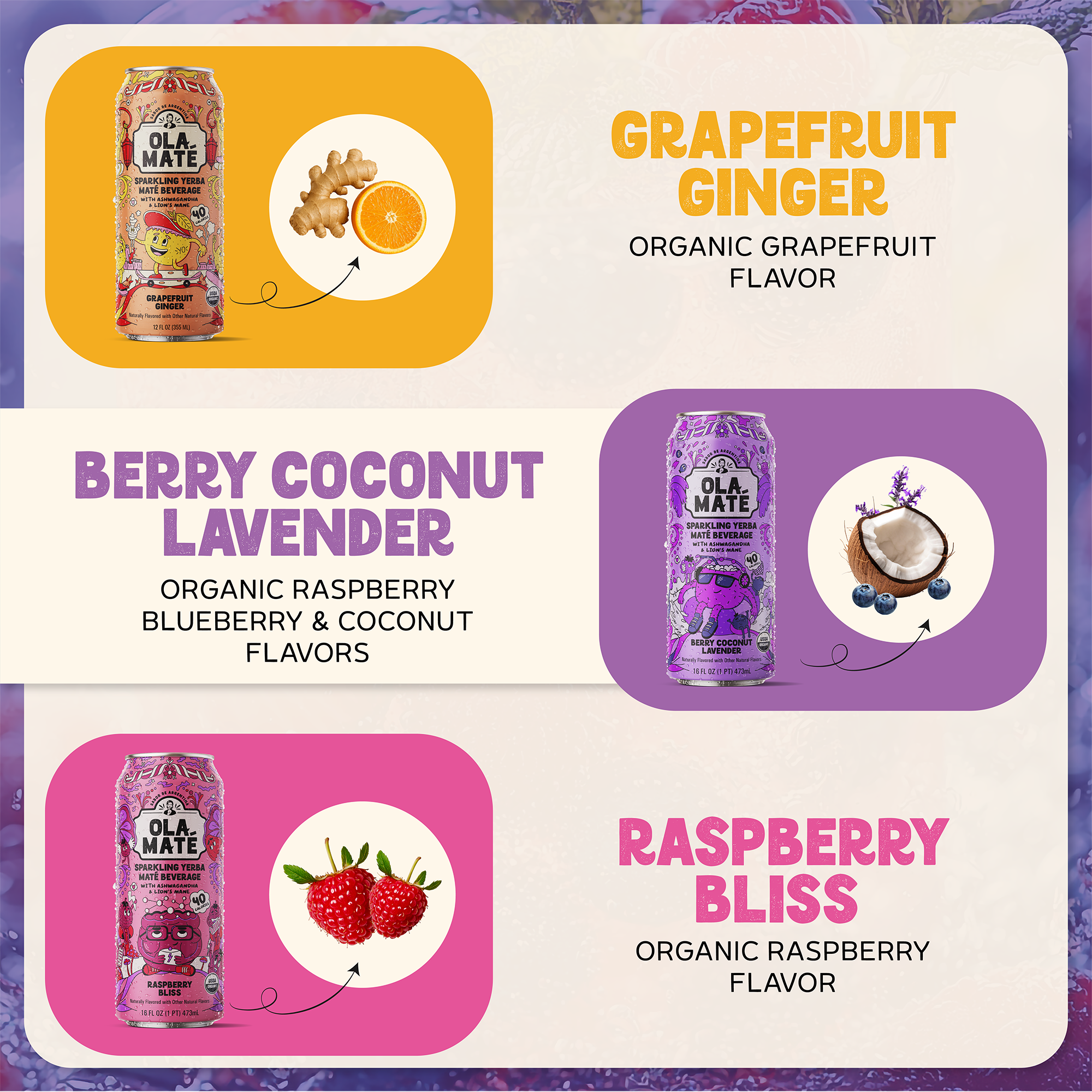 Starter 4-Pack - Sparkling Maté