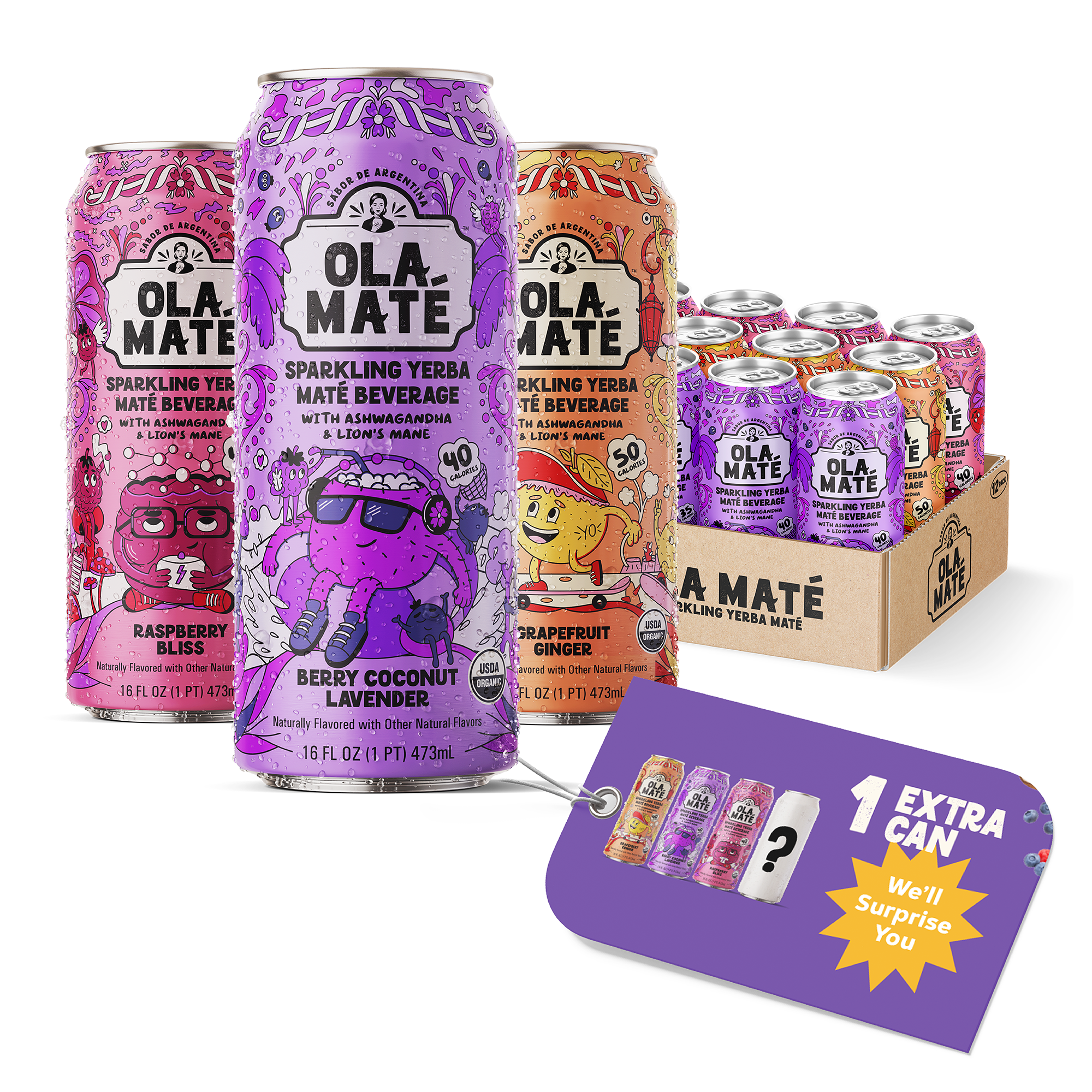 Starter 4-Pack - Sparkling Maté