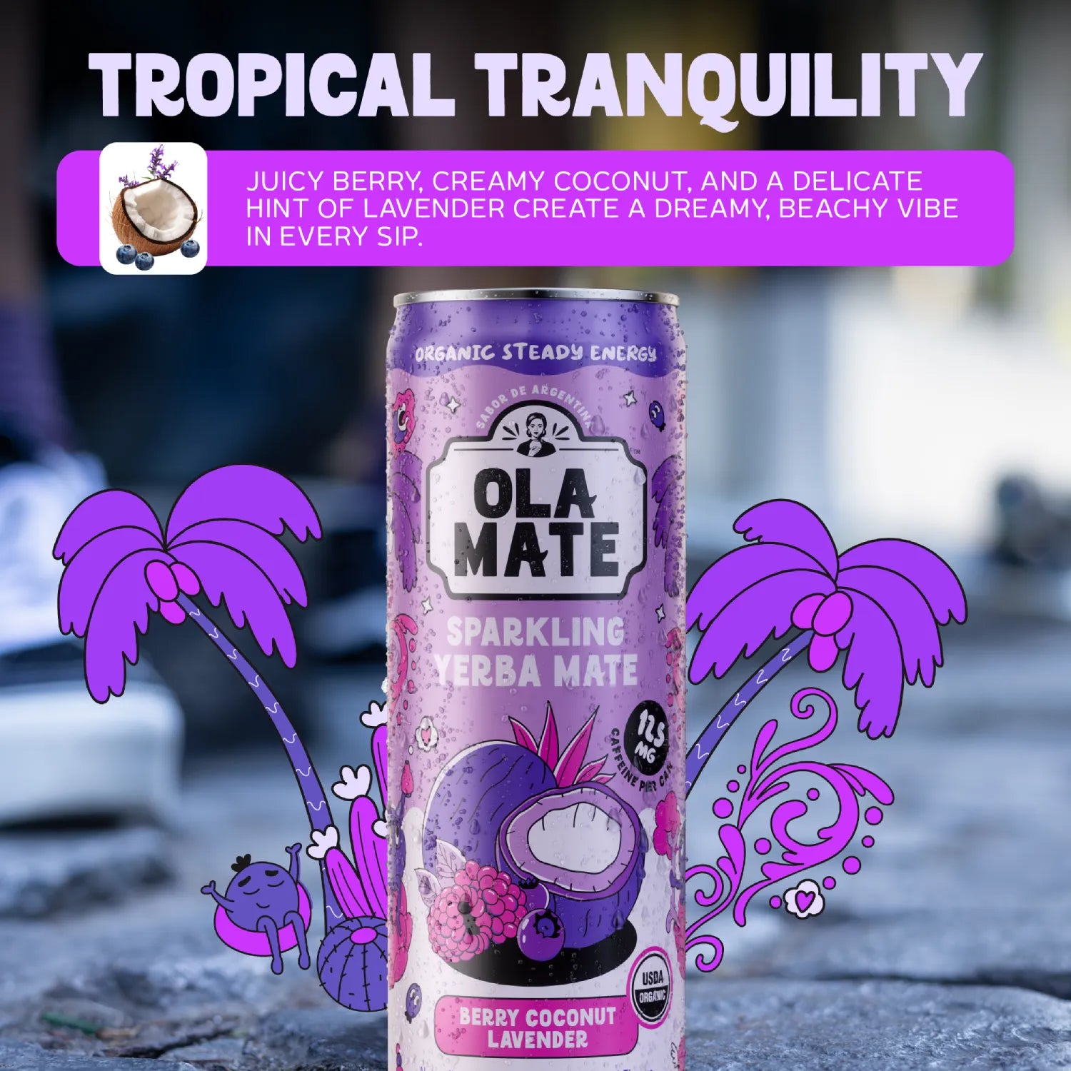 Berry Coconut Lav Sparkling Mate