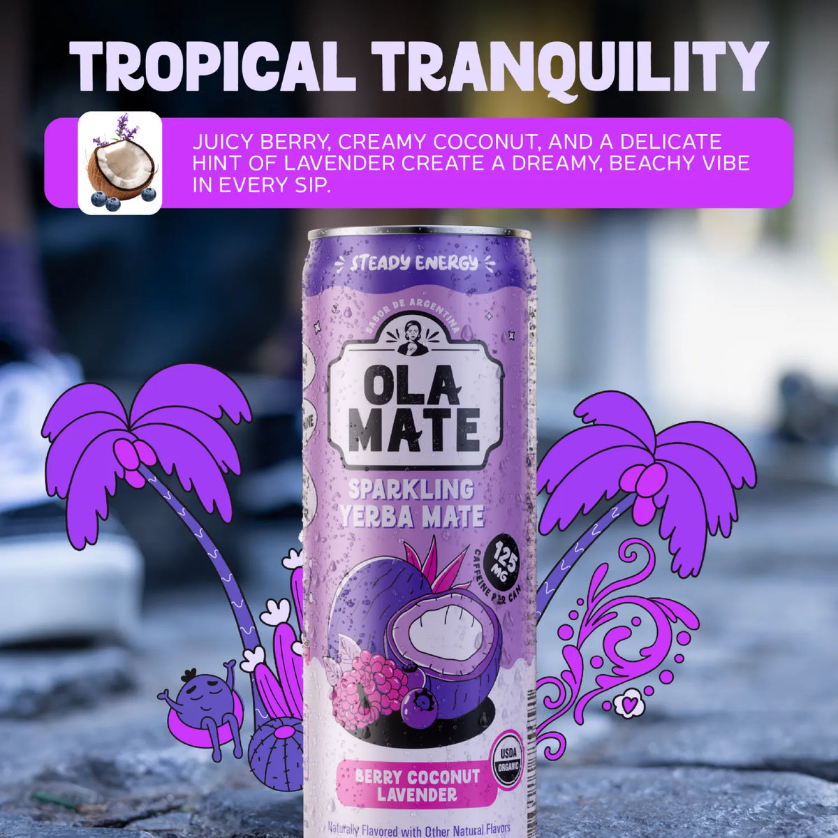 12oz Sparkling - Berry Coconut Lavender - 12pk