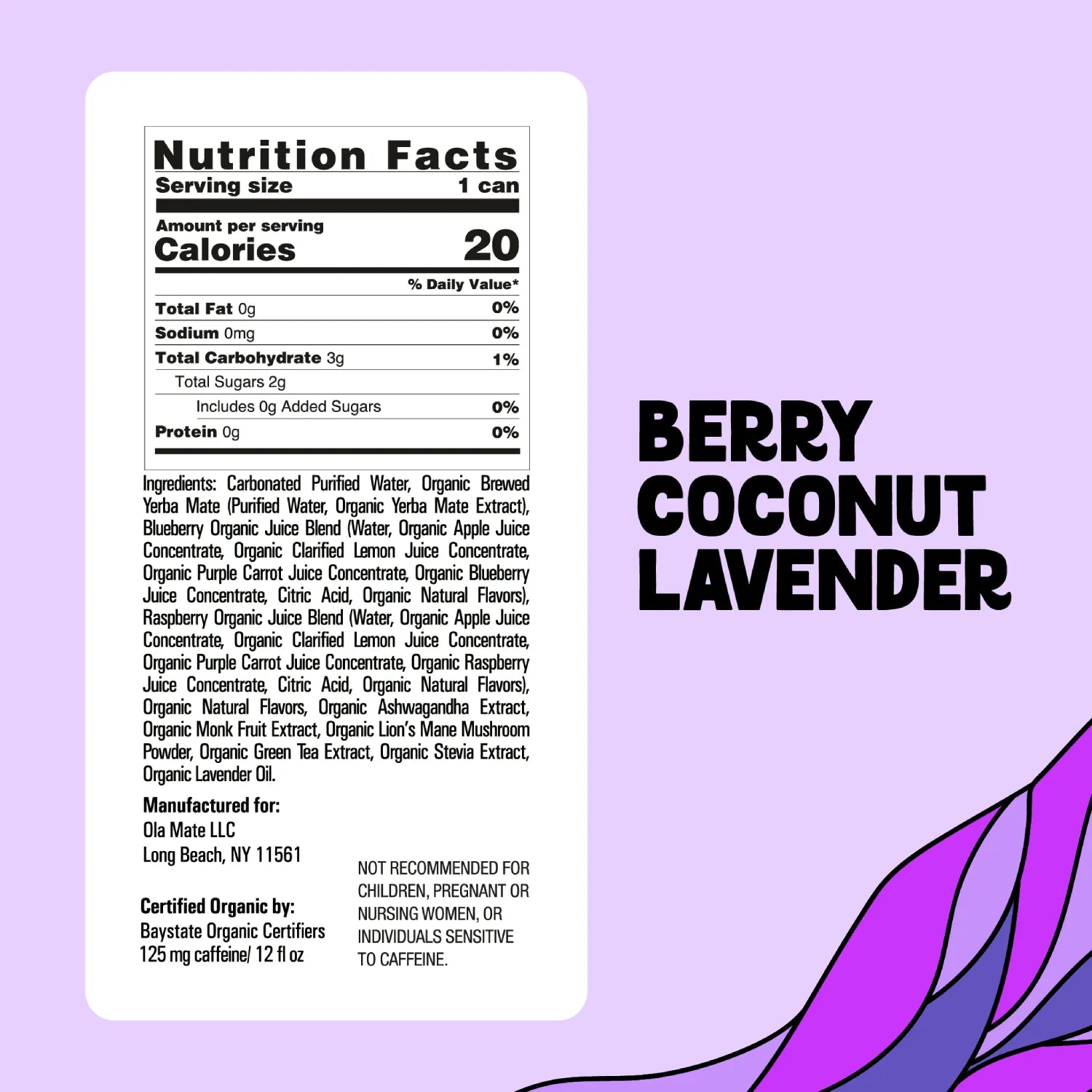 Berry Coconut Lav Sparkling Mate