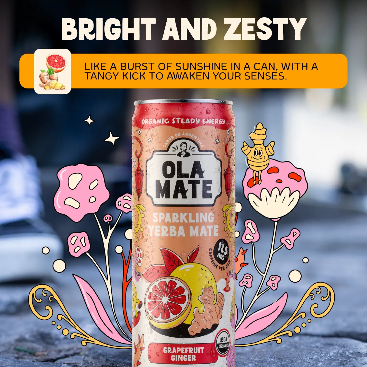 Grapefruit Ginger Sparkling Mate