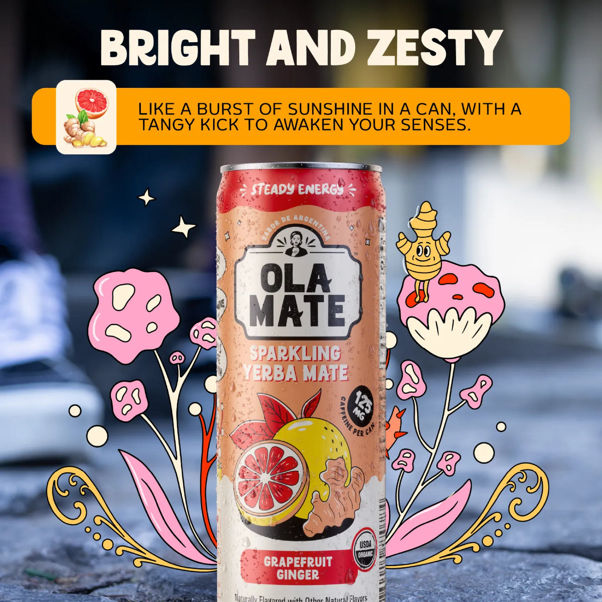 12oz Sparkling - Grapefruit Ginger - 12pk