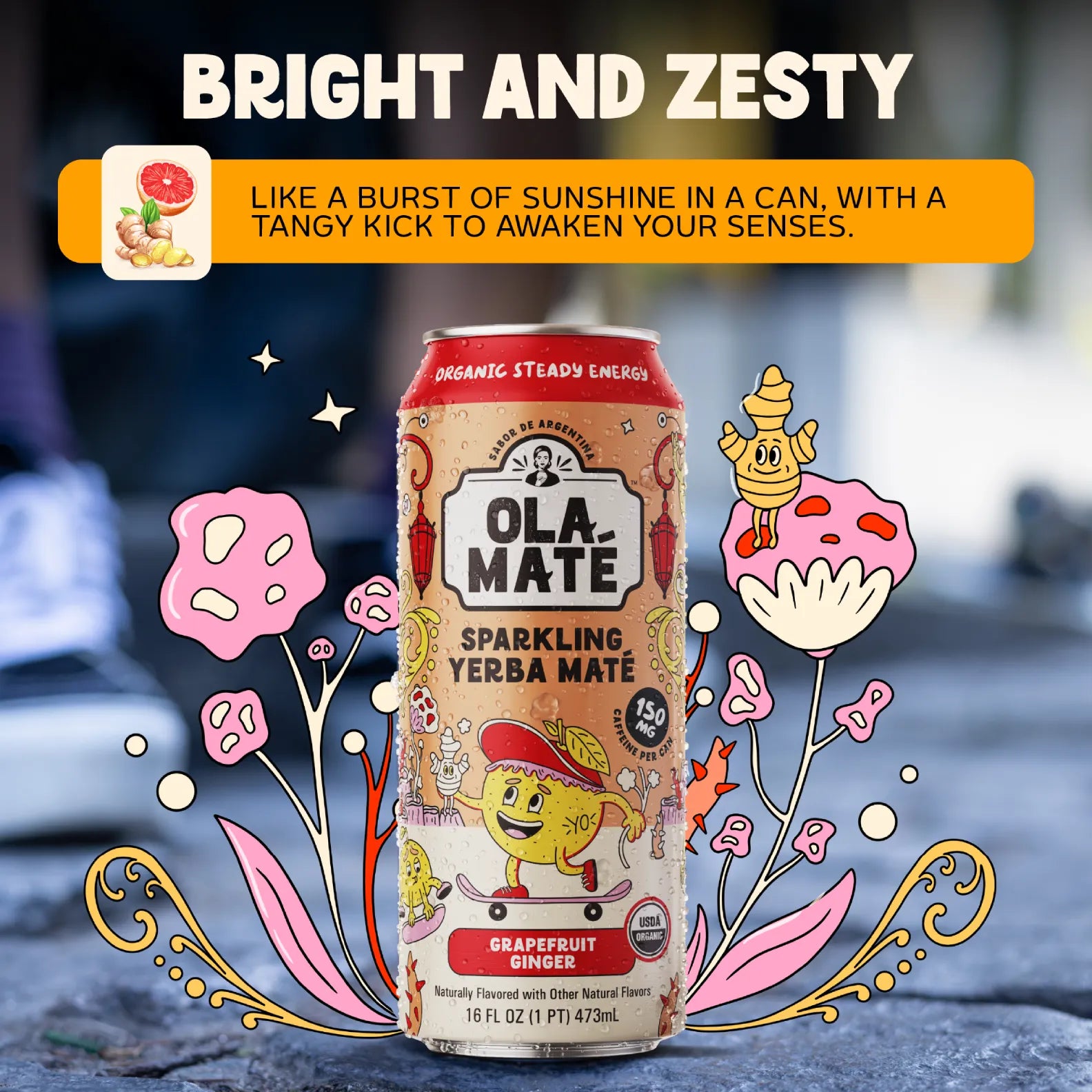 Grapefruit Ginger Sparkling Maté