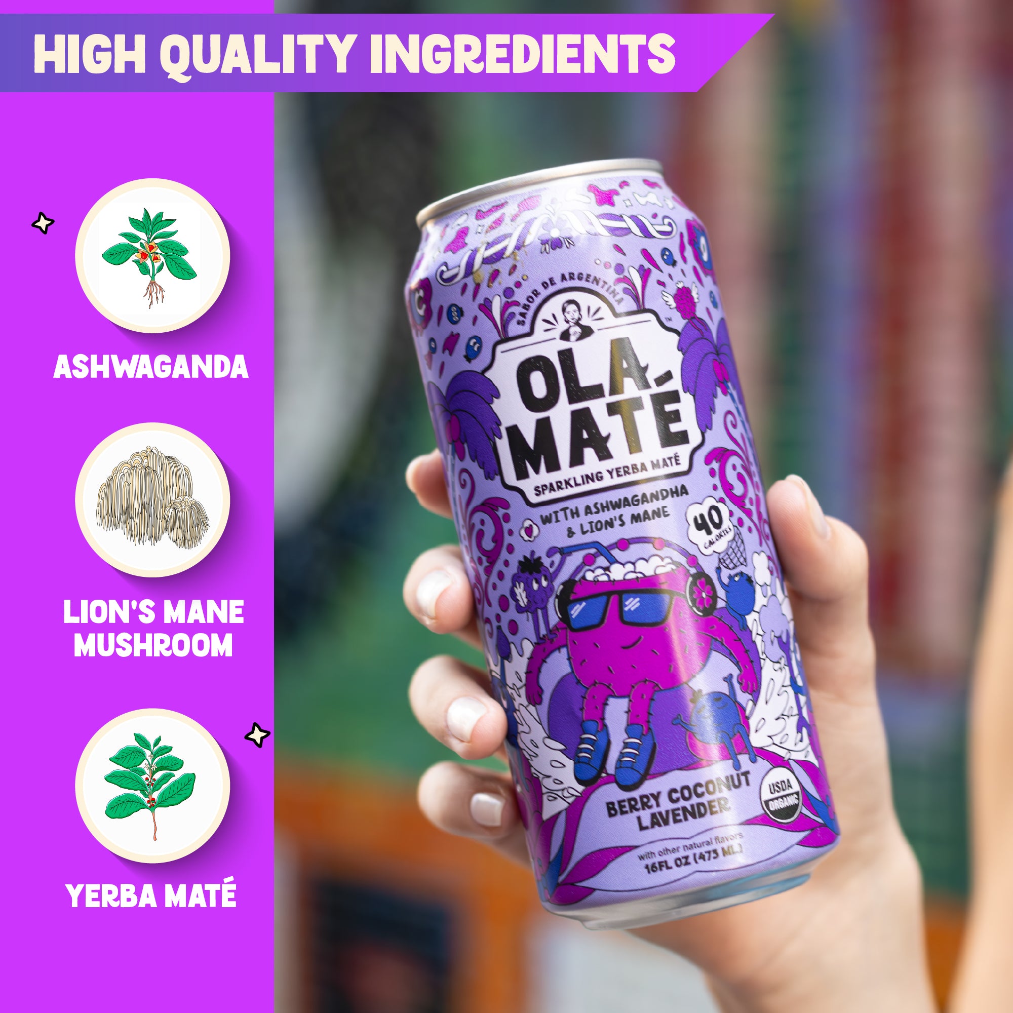 Berry Coconut Lav Sparkling Maté