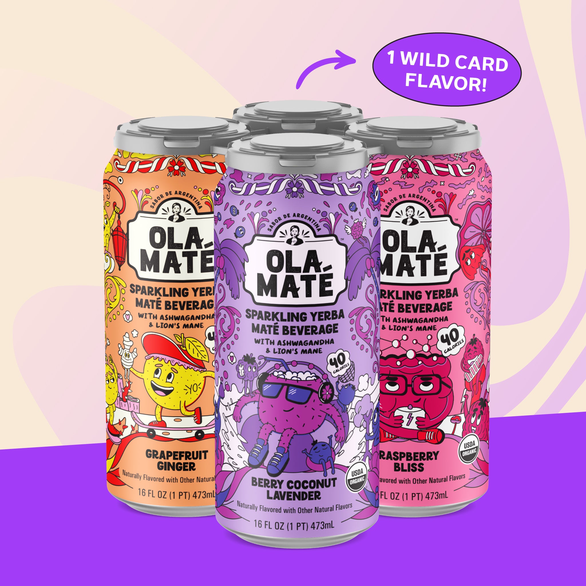 Starter 4-Pack - Sparkling Maté