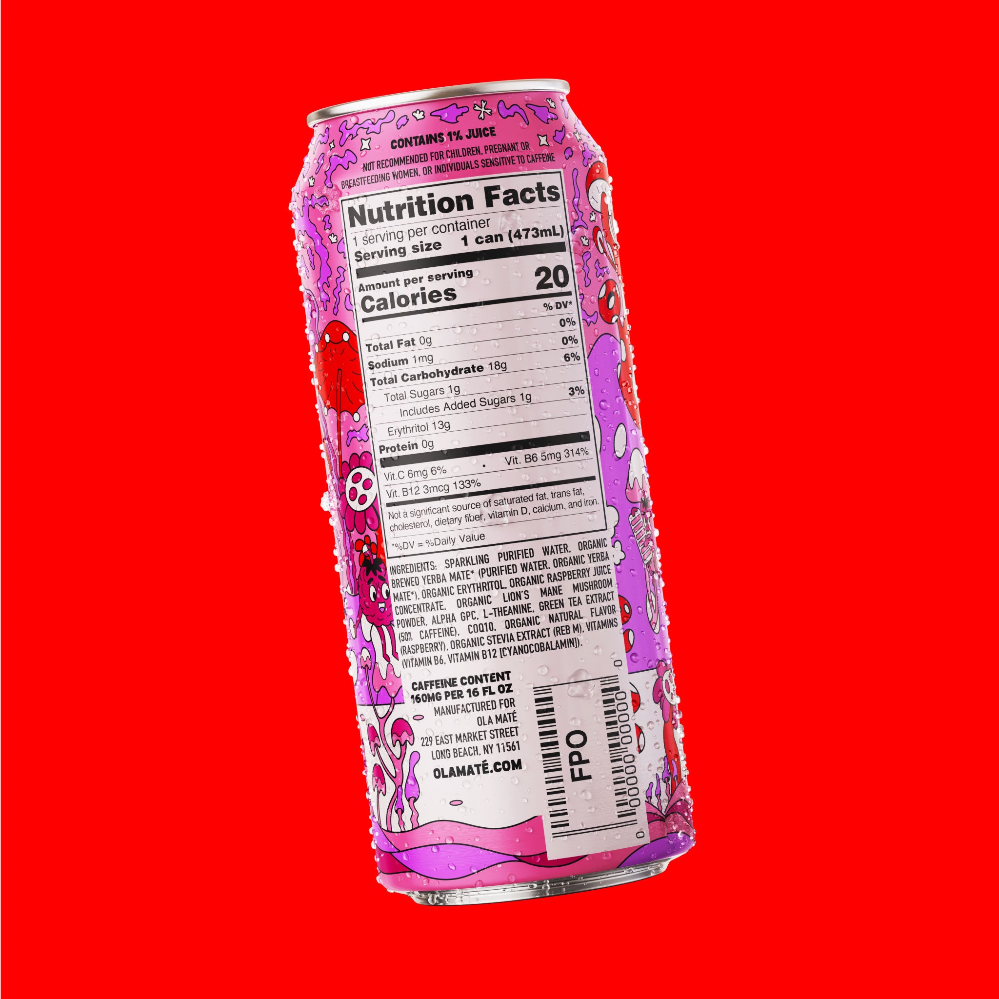 Sparkling Yerba Maté
