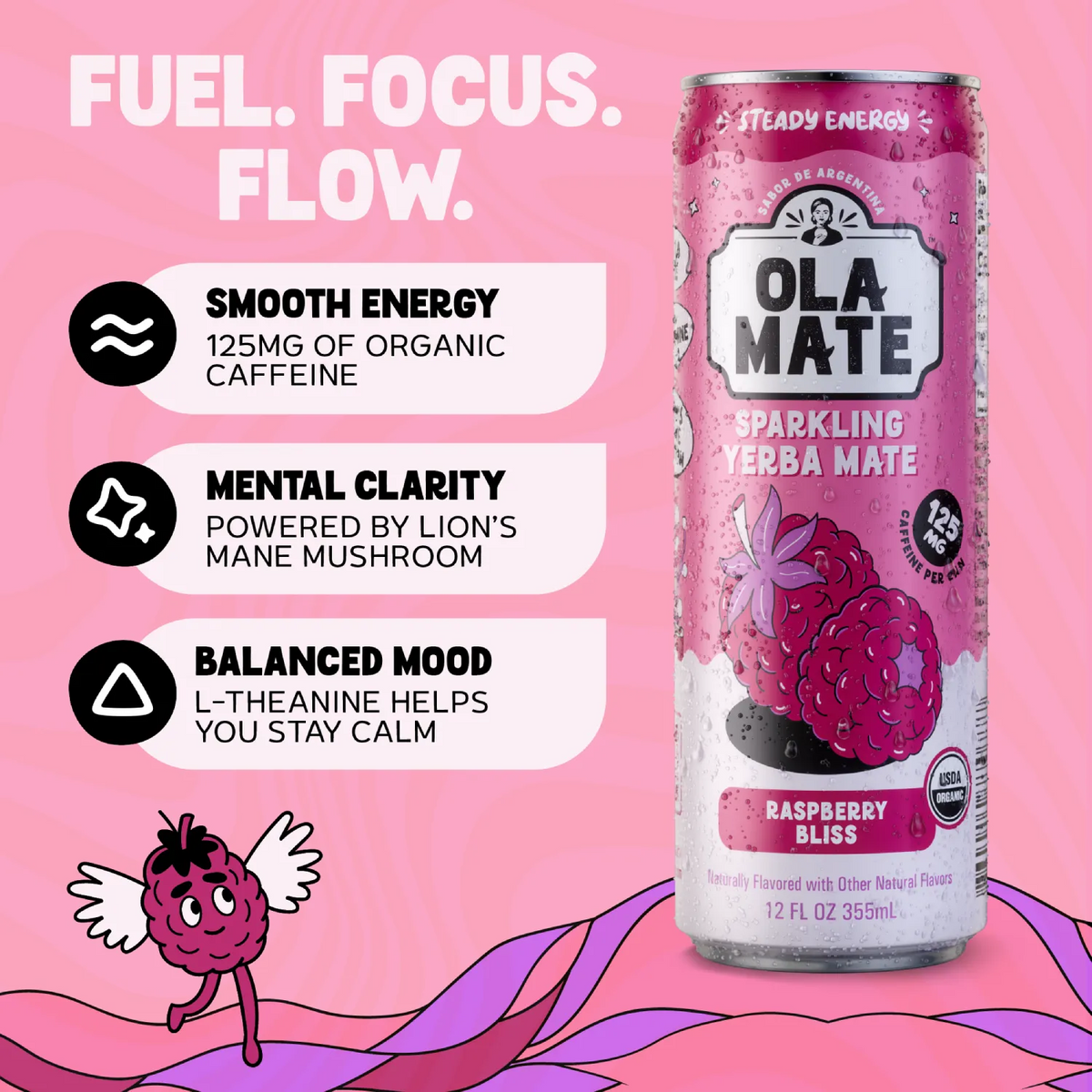 12oz Sparkling - Raspberry Bliss - 12pk