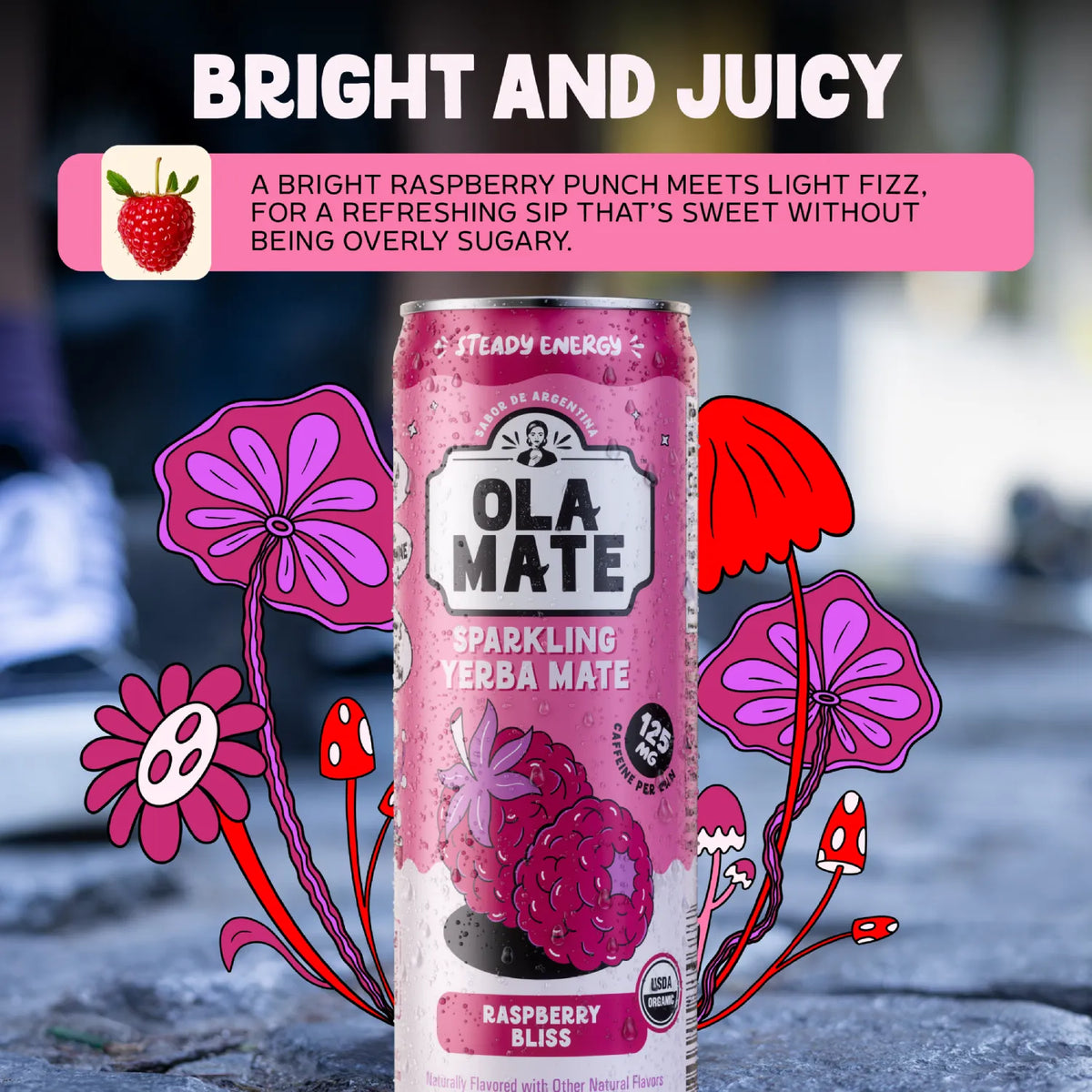 12oz Sparkling - Raspberry Bliss - 12pk