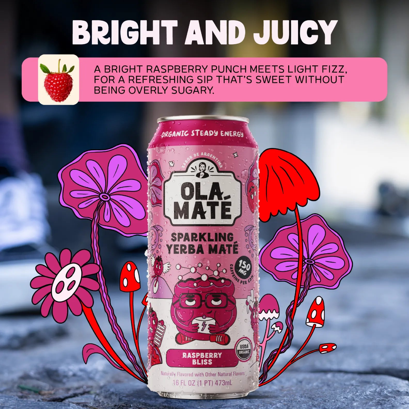 Raspberry Bliss Sparkling Maté