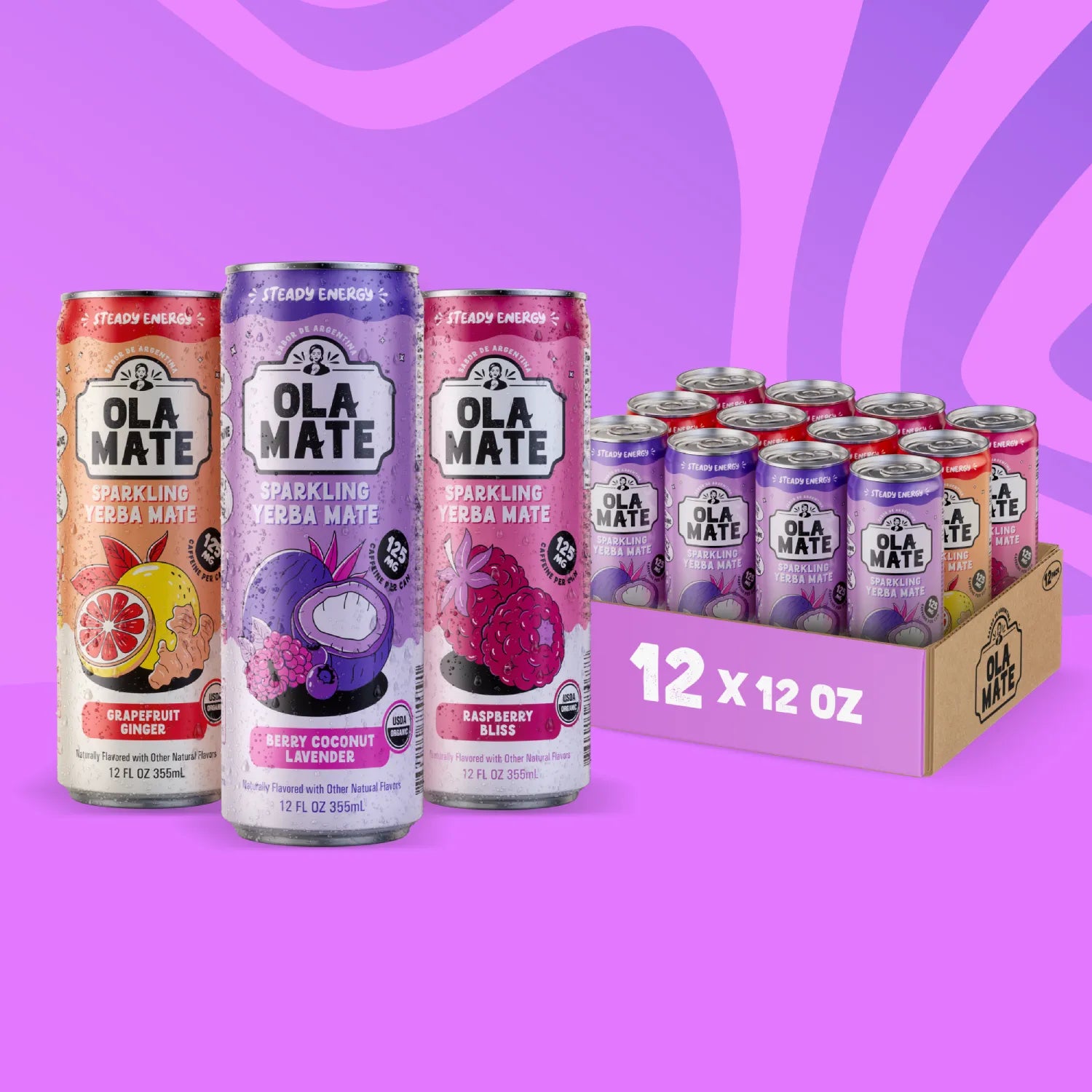 12oz Variety Pack Sparkling Mate – 12 Cans (3 Flavors)