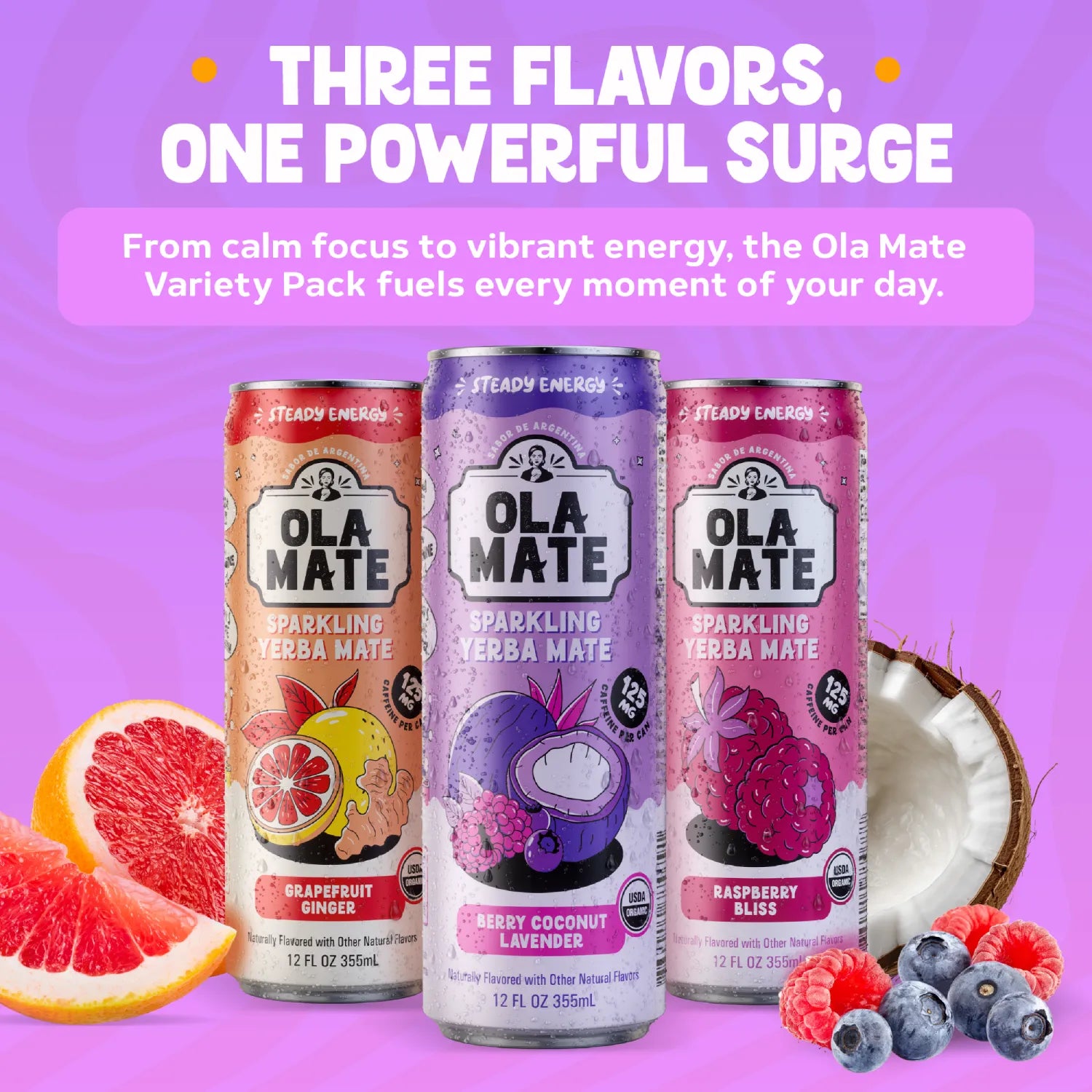 12oz Variety Pack Sparkling Mate – 12 Cans (3 Flavors)
