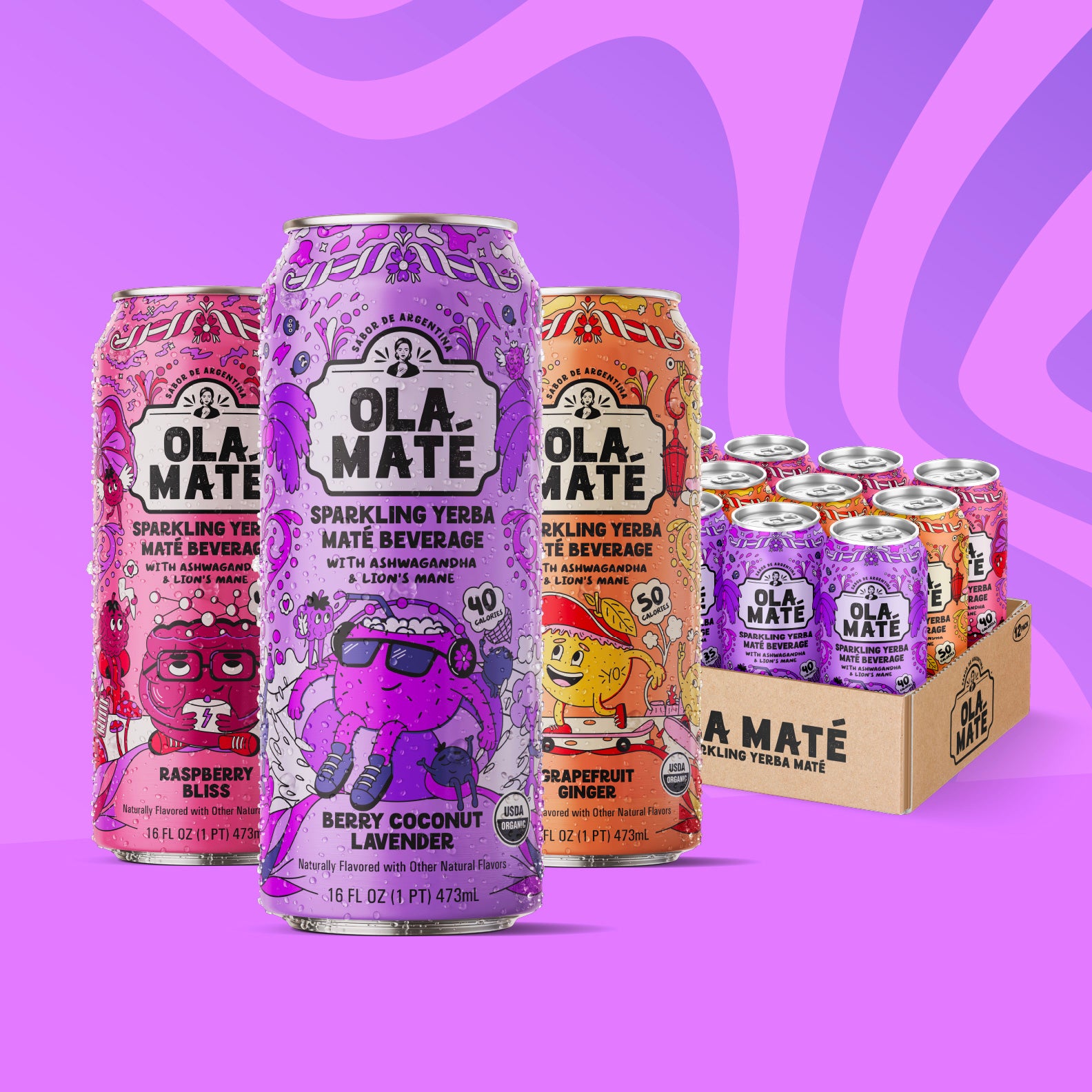 Variety Pack Sparkling Maté