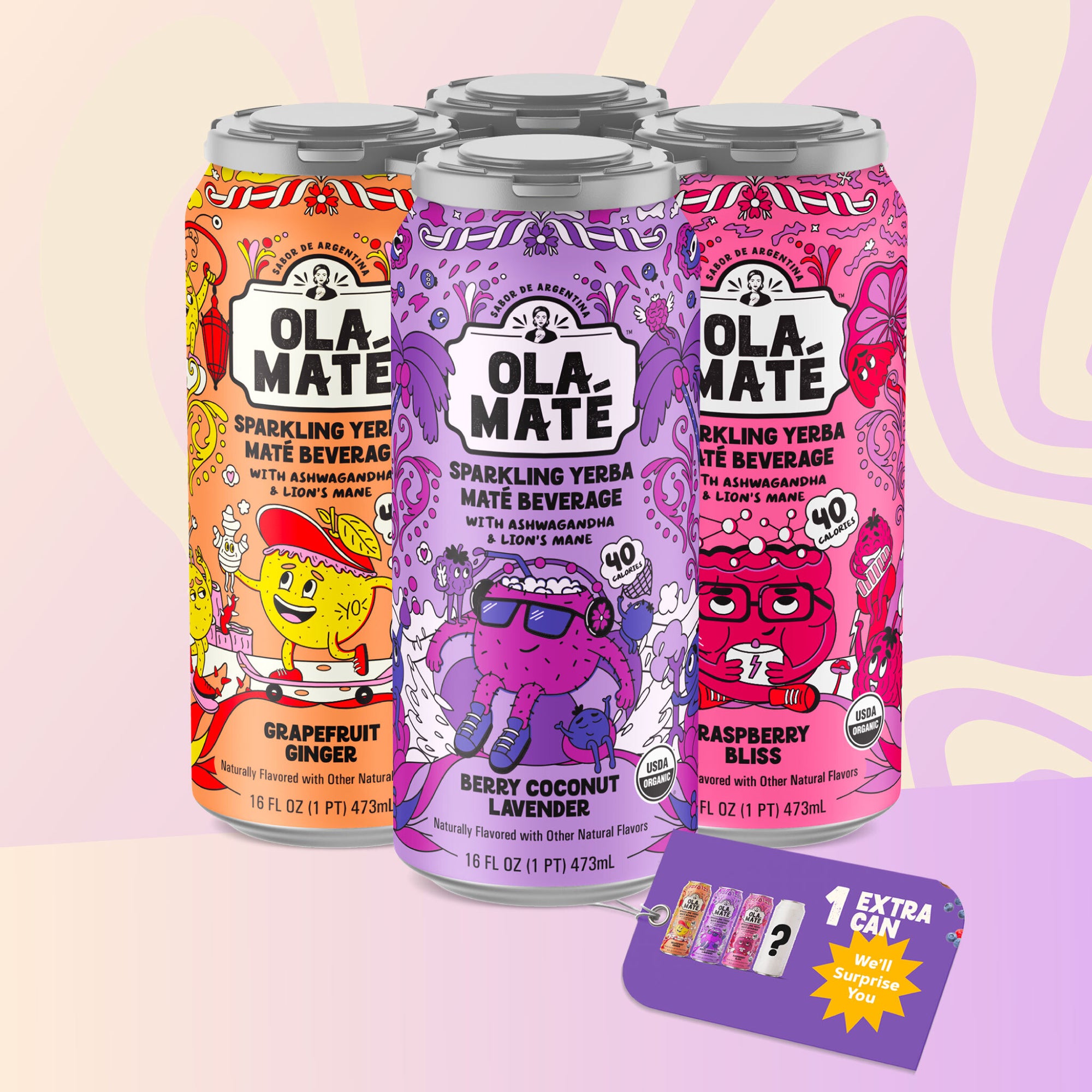 Starter Pack Sparkling Maté – 3 Flavors + 1 Wild Card Can