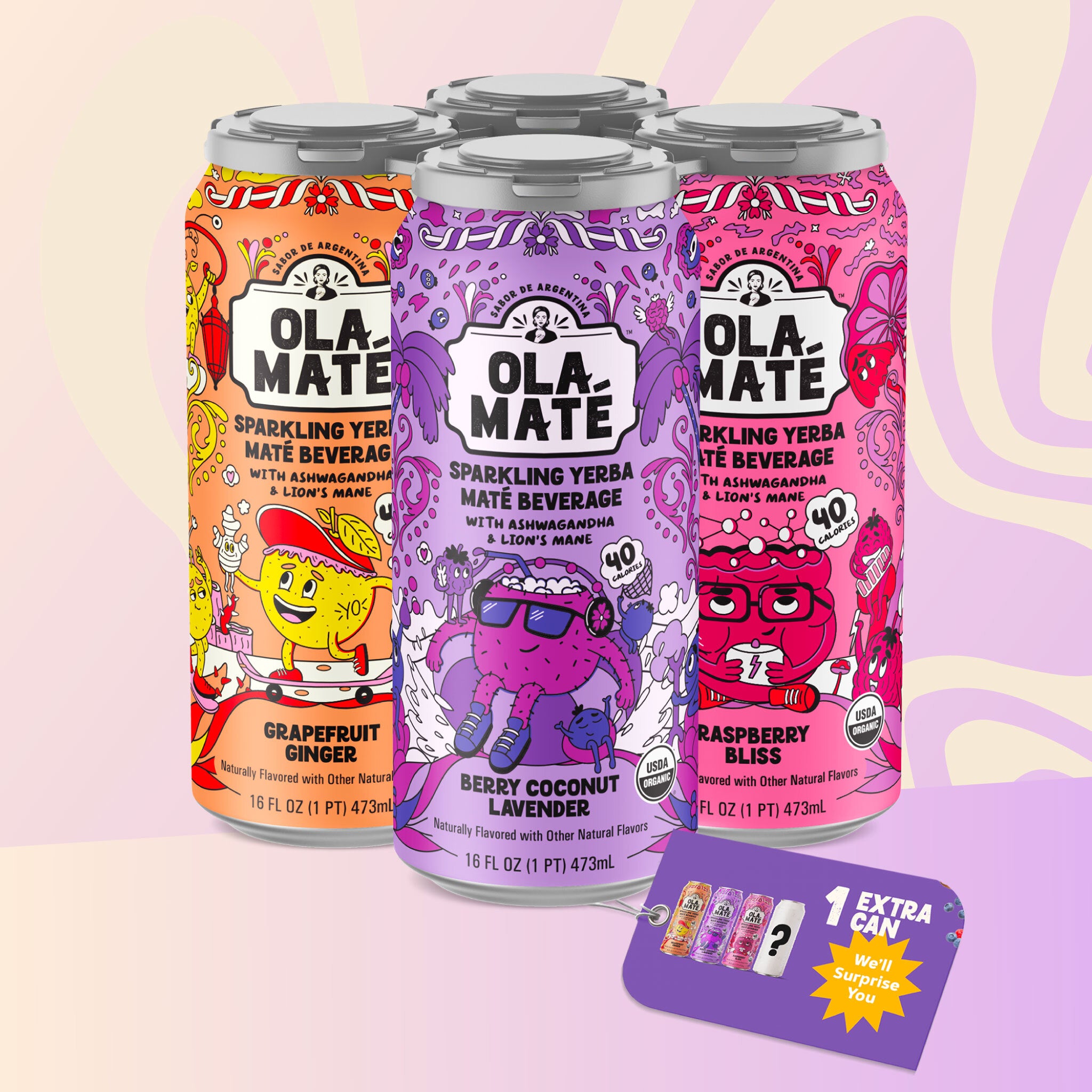 Starter Pack Sparkling Maté – 3 Flavors + 1 Wild Card Can