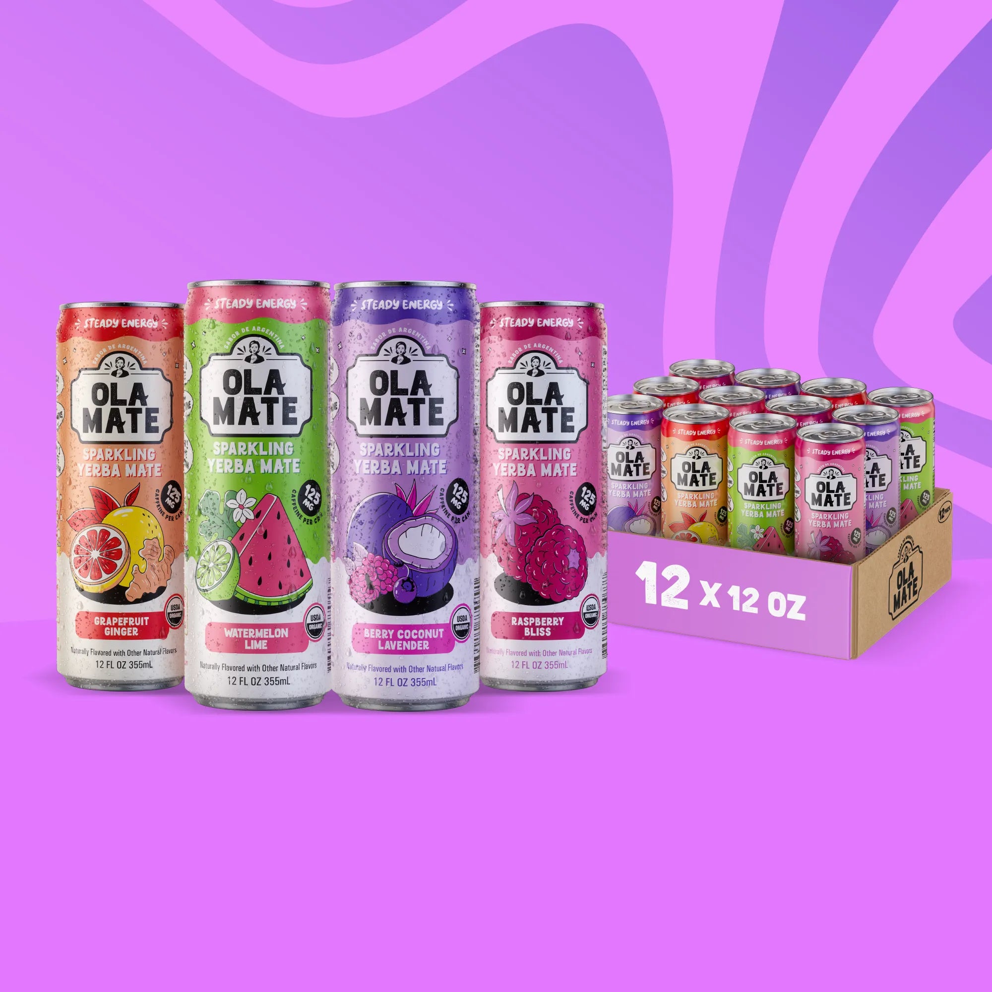 12oz Variety Pack Sparkling Mate – 12 Cans (4 Flavors)