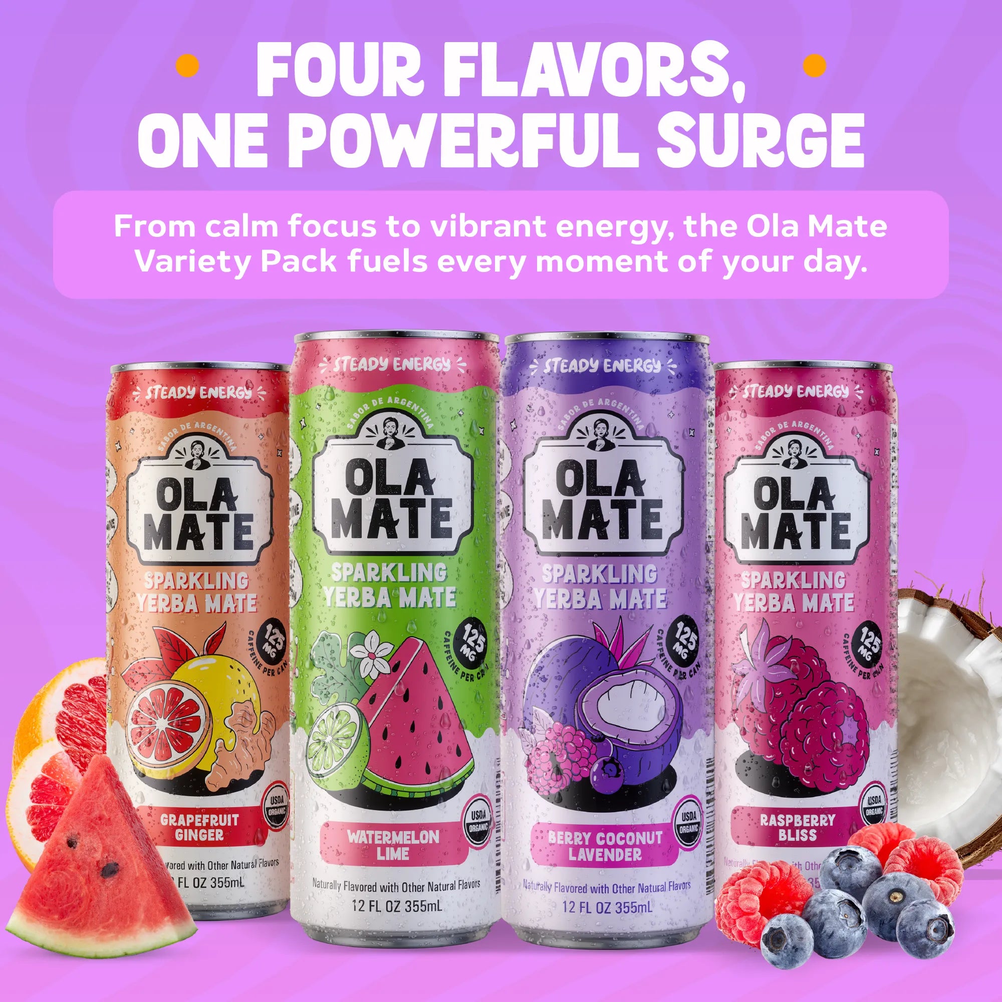 12oz Variety Pack Sparkling Mate – 12 Cans (4 Flavors)