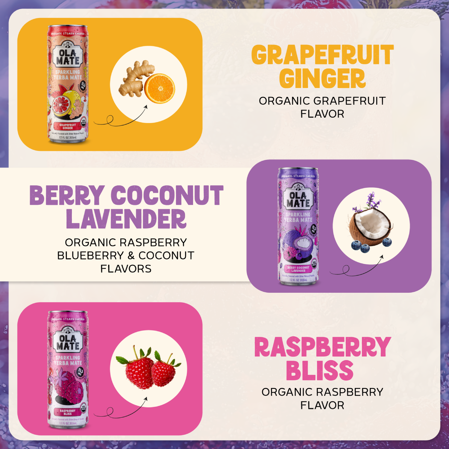 Variety Pack Sparkling Mate – 12 Cans