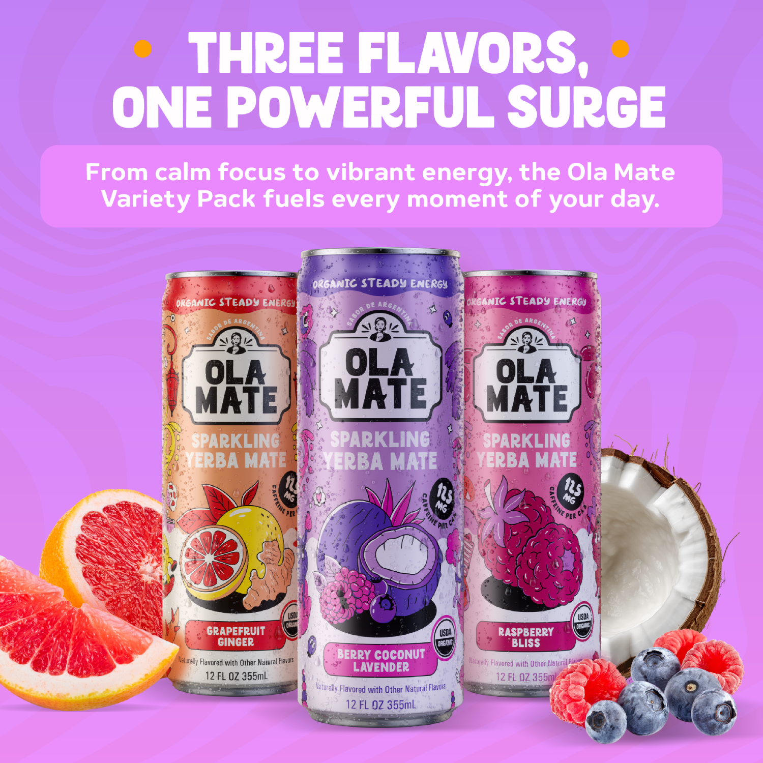 Variety Pack Sparkling Mate – 12 Cans