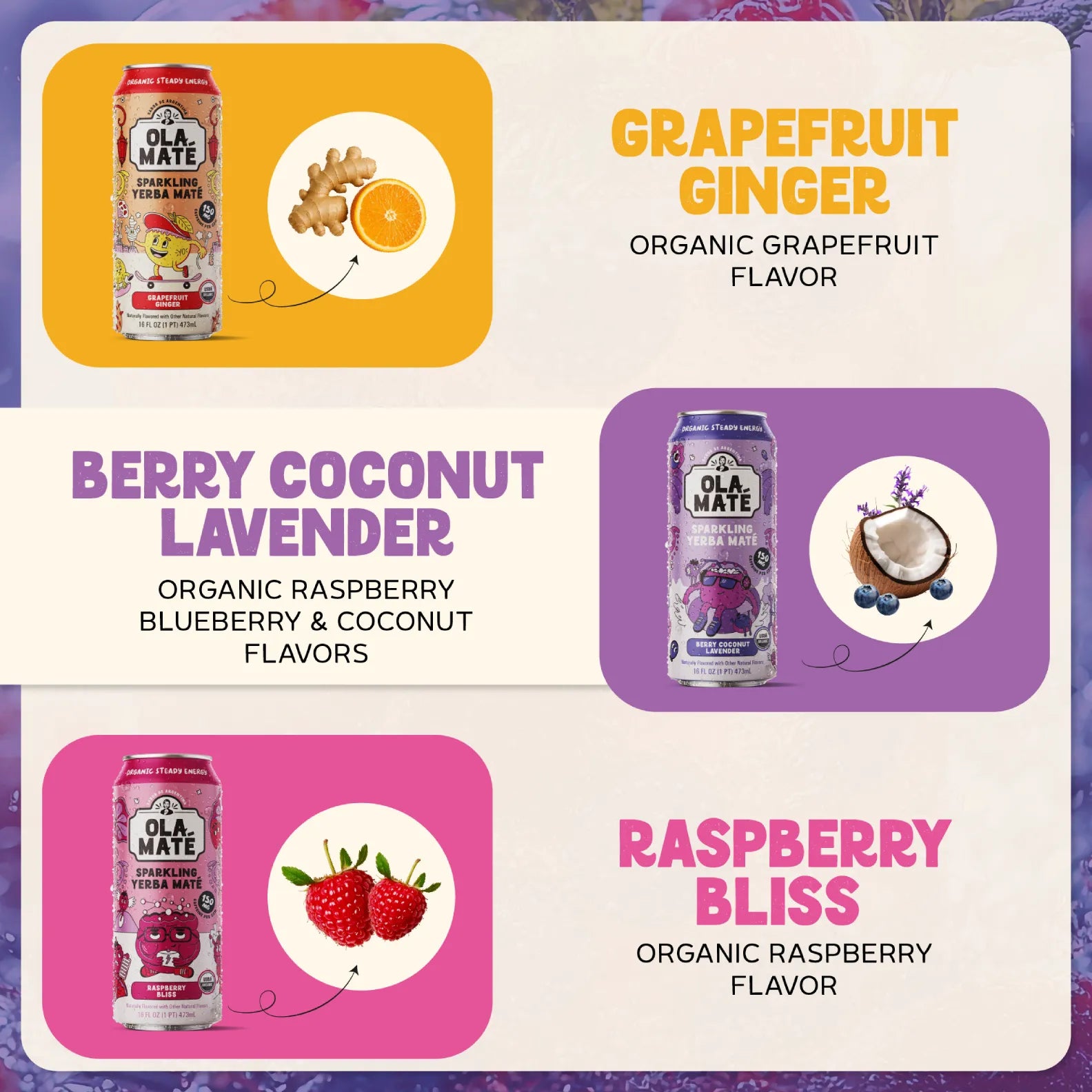 Variety Pack Sparkling Mate – 12 Cans