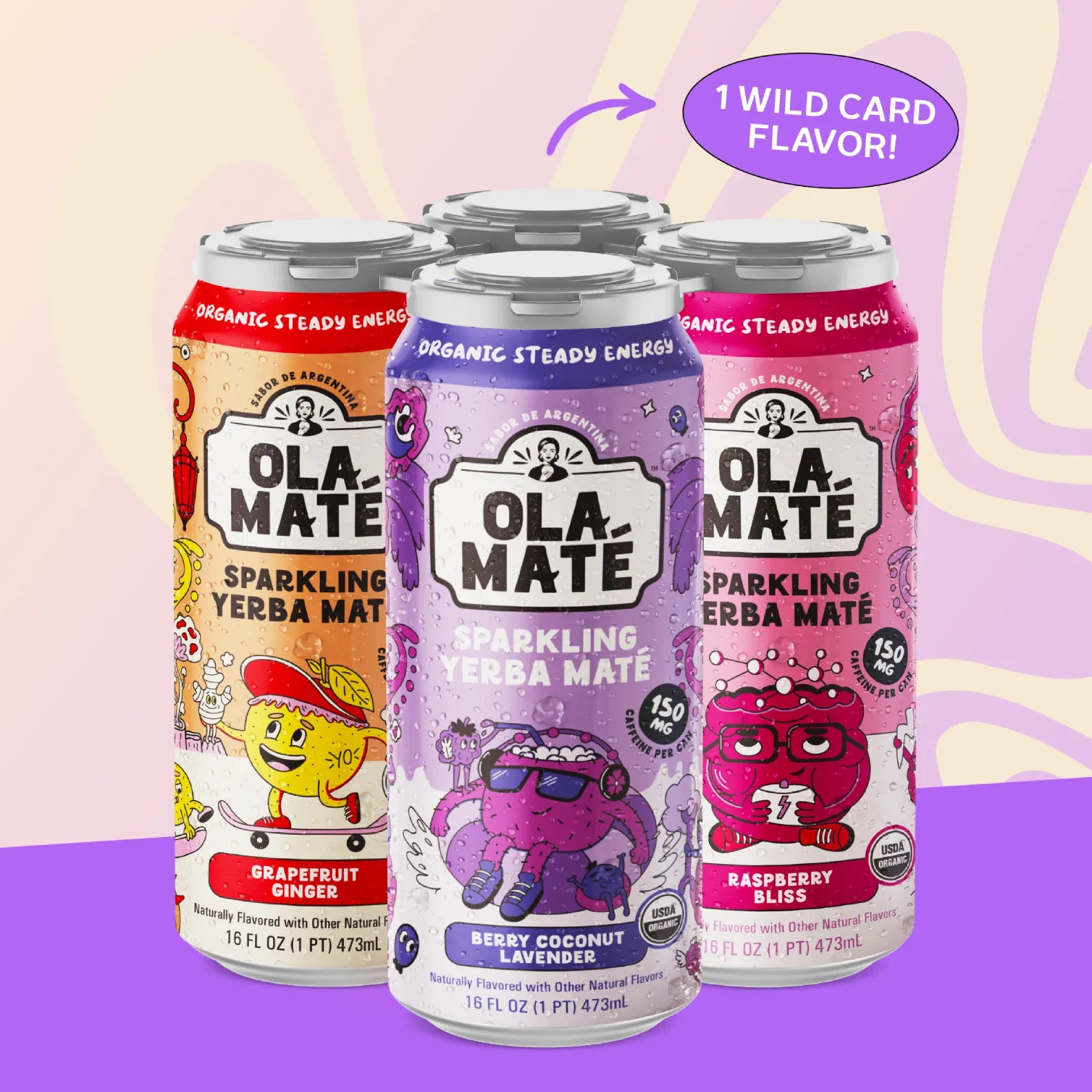 Starter Pack Sparkling Maté – 3 Flavors + 1 Wild Card Can