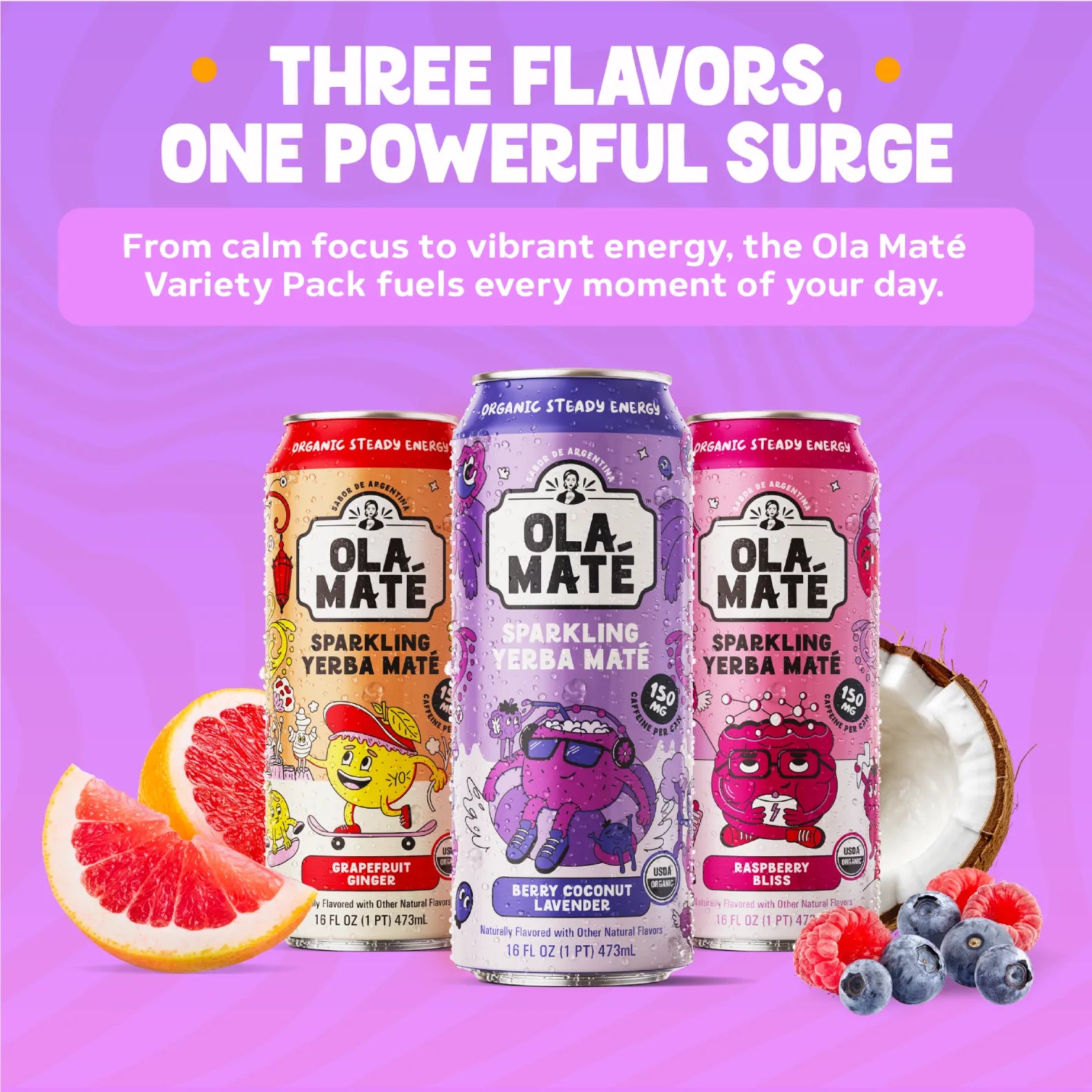 Variety Pack Sparkling Mate – 12 Cans