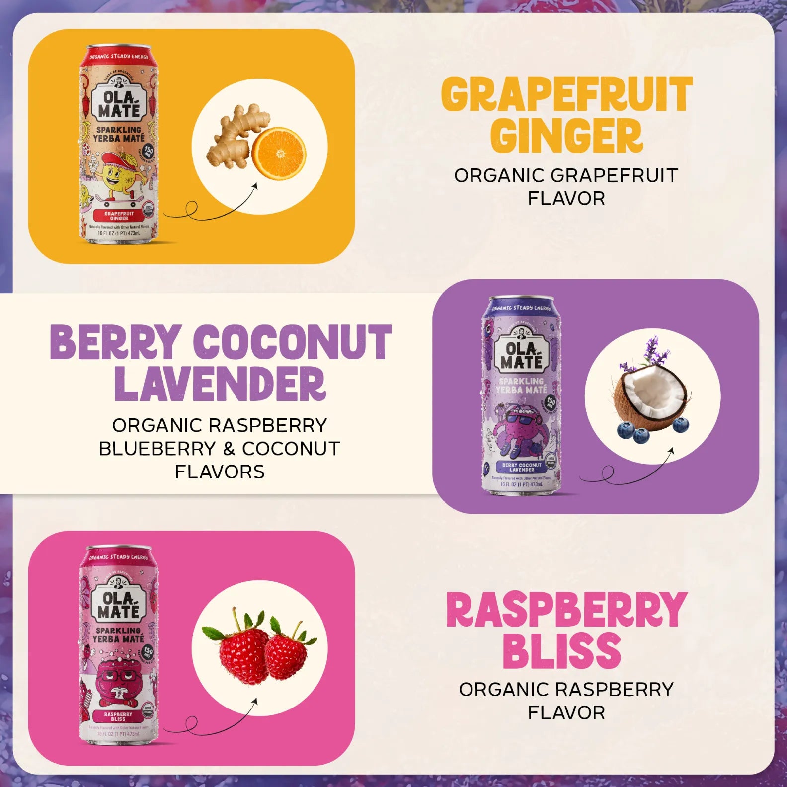 Starter Pack Sparkling Maté – 3 Flavors + 1 Wild Card Can