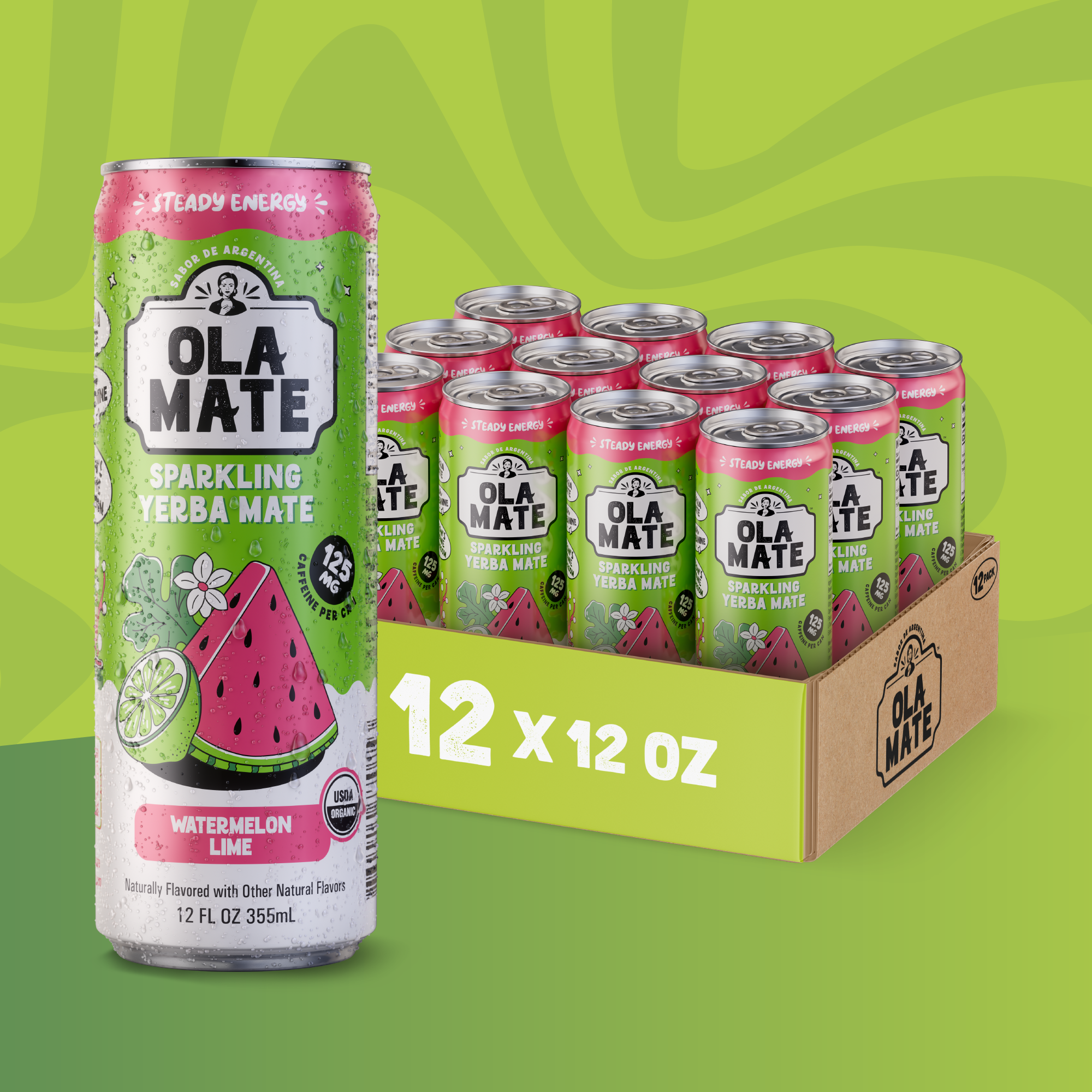 12oz Sparkling - Watermelon Lime - 12pk