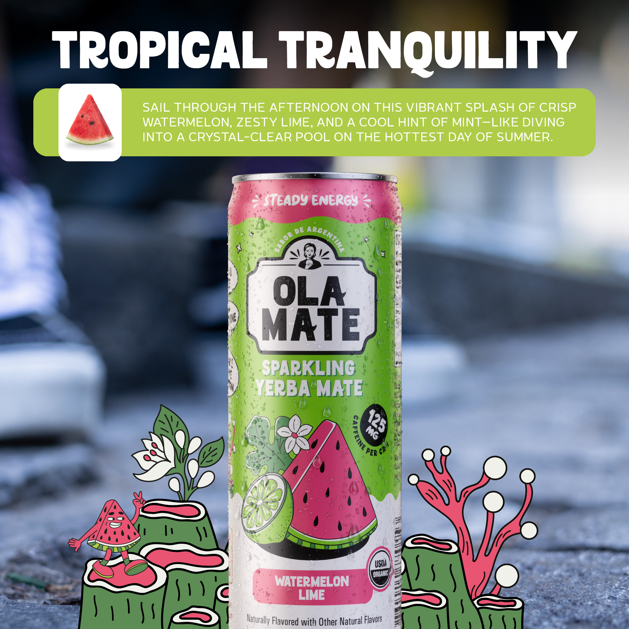 12oz Sparkling - Watermelon Lime - 12pk