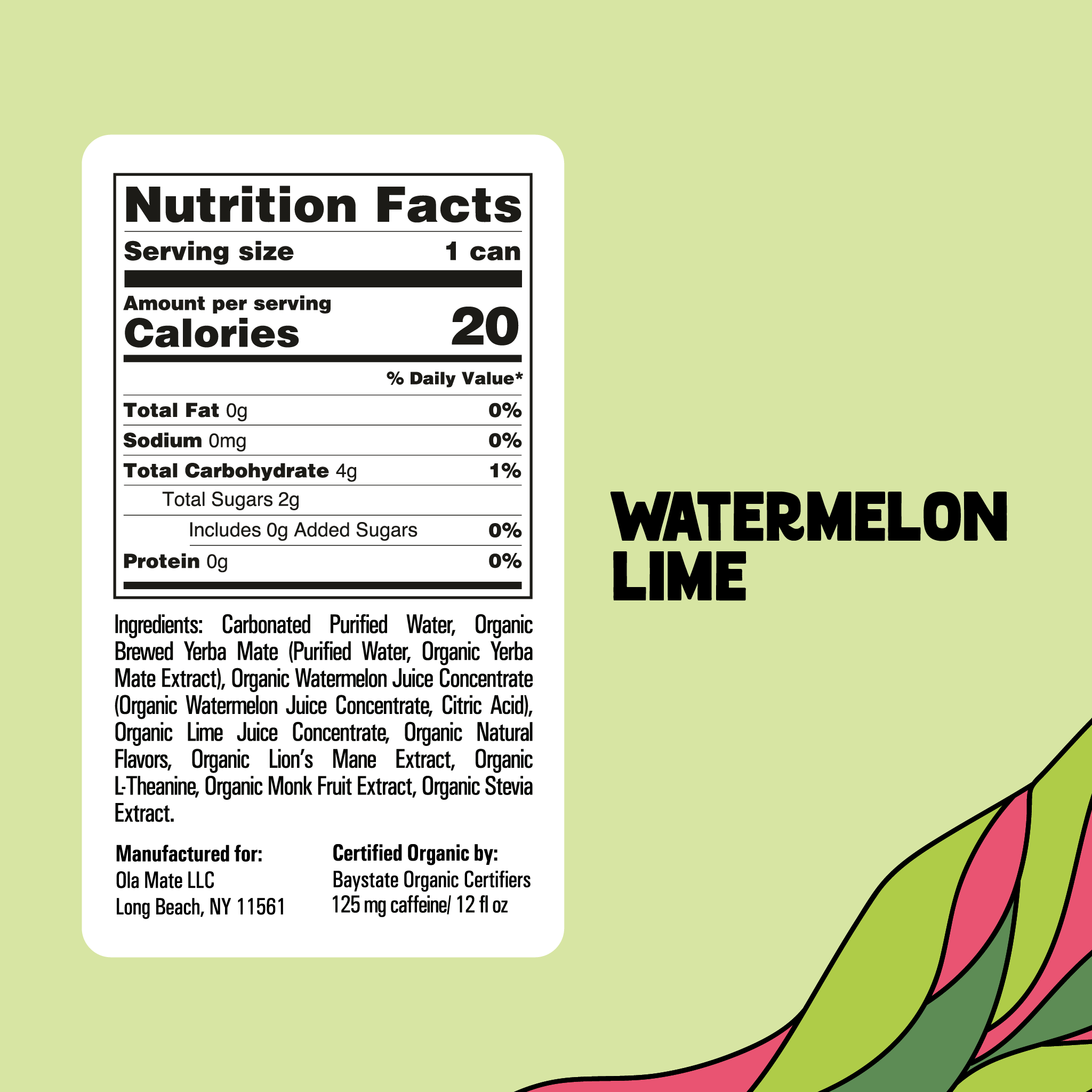12oz Sparkling - Watermelon Lime - 12pk