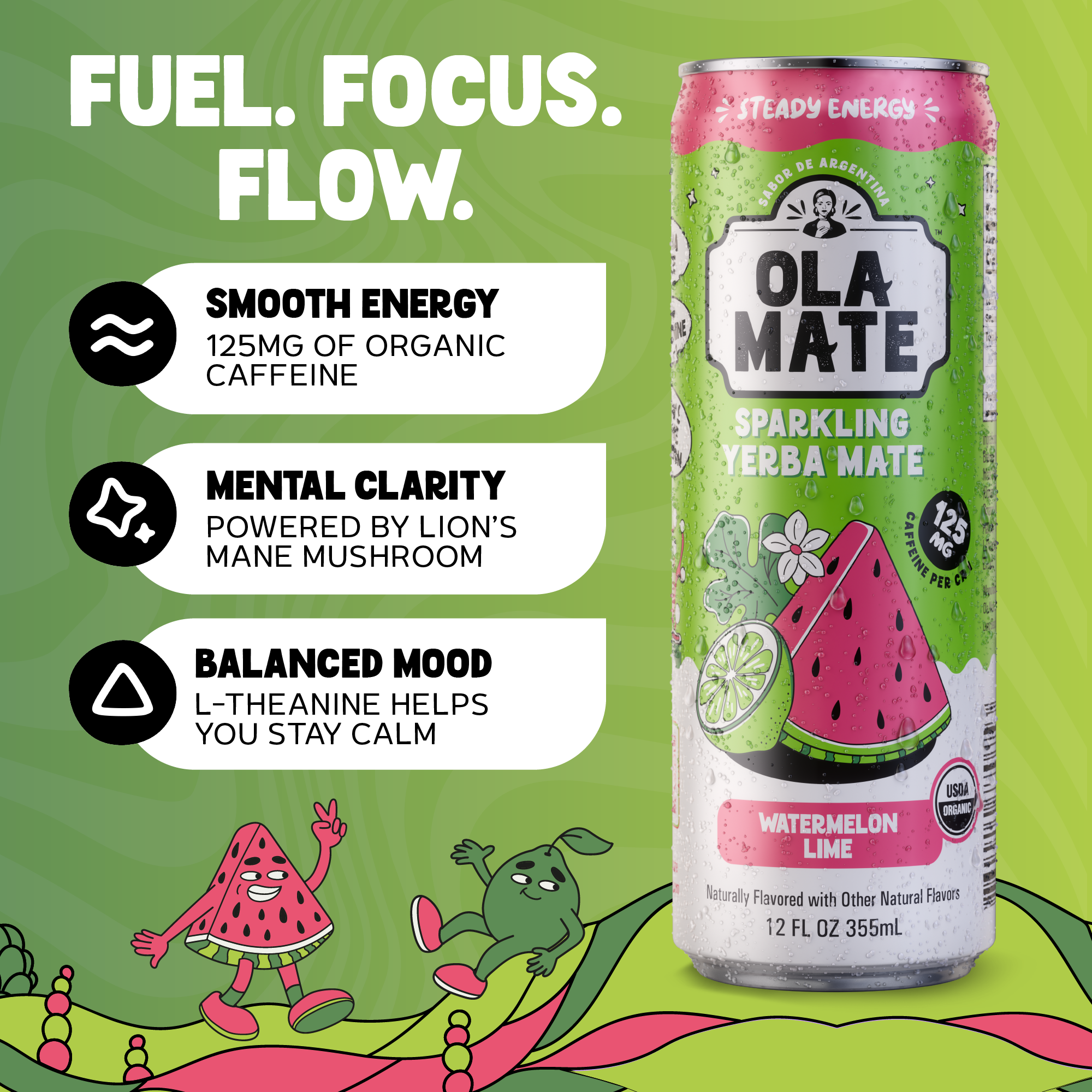 12oz Sparkling - Watermelon Lime - 12pk