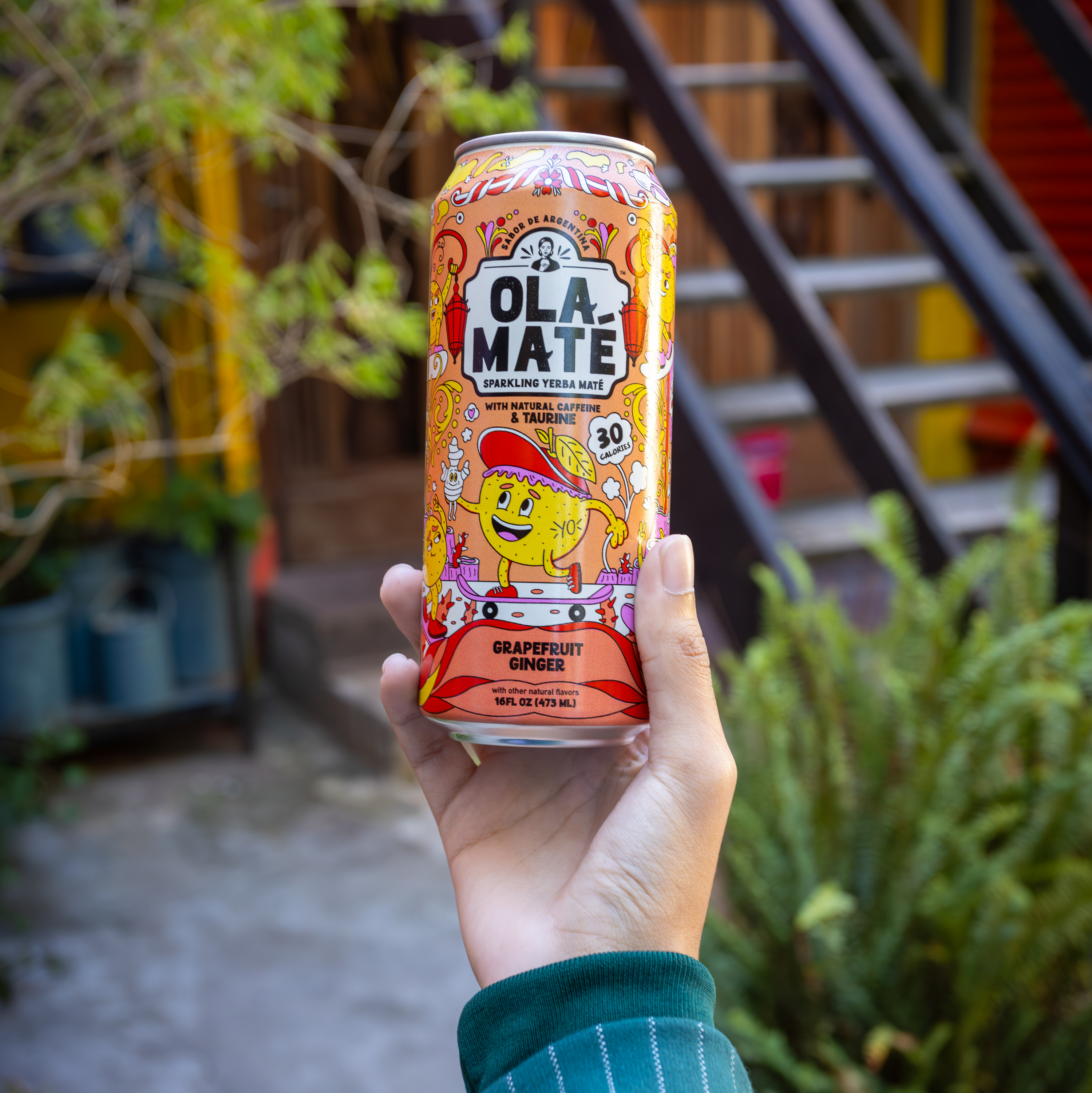 Discover Sparkling Yerba Mate Refreshment - Ola Mate Discover Sparkling Yerba Mate Refreshment - Ola Mate