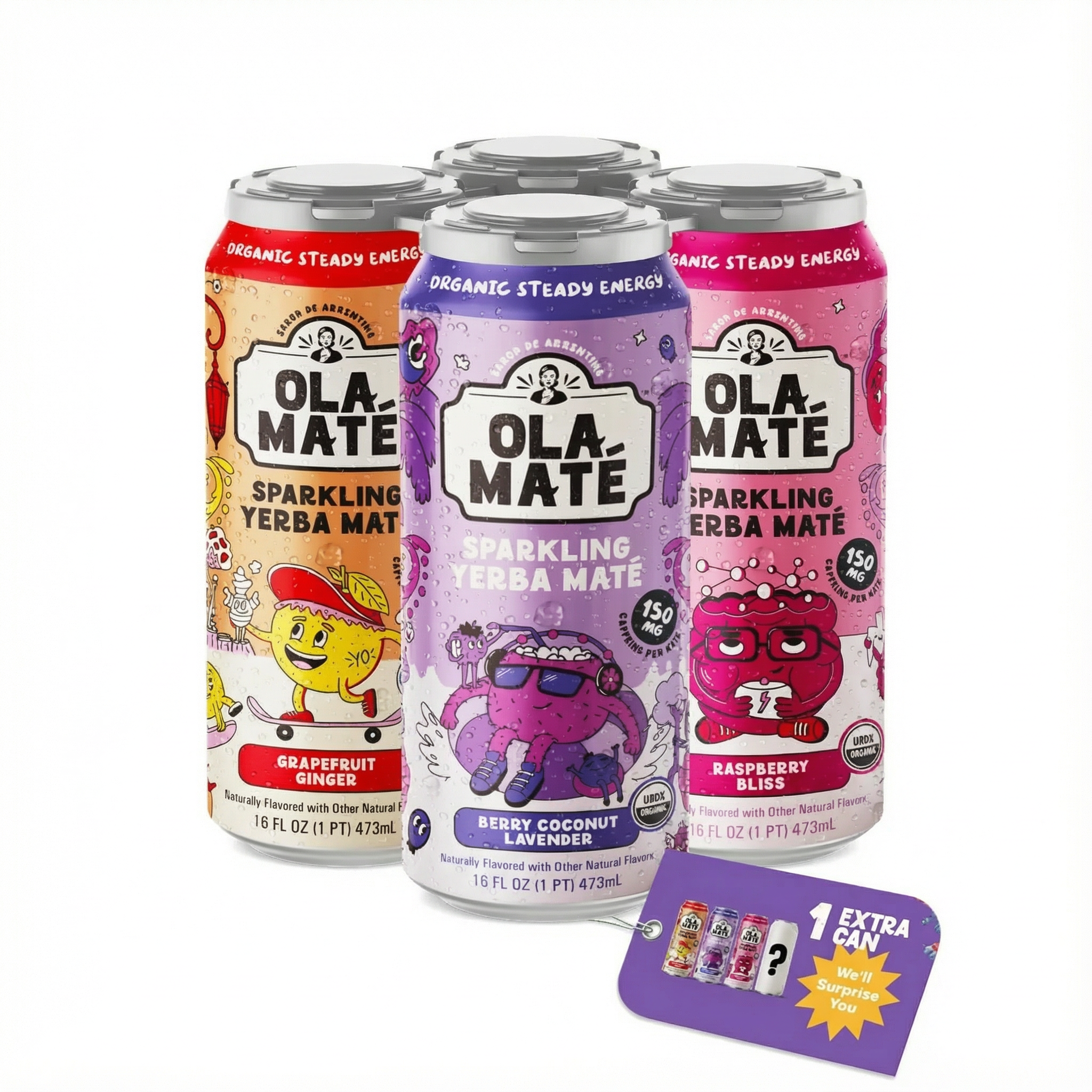 Starter Pack Sparkling Mate – 3 Flavors + 1 Wild Card Can